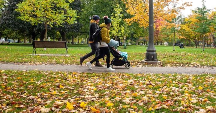 Canadians with children more likely to rely on charities, non-profits: survey – National