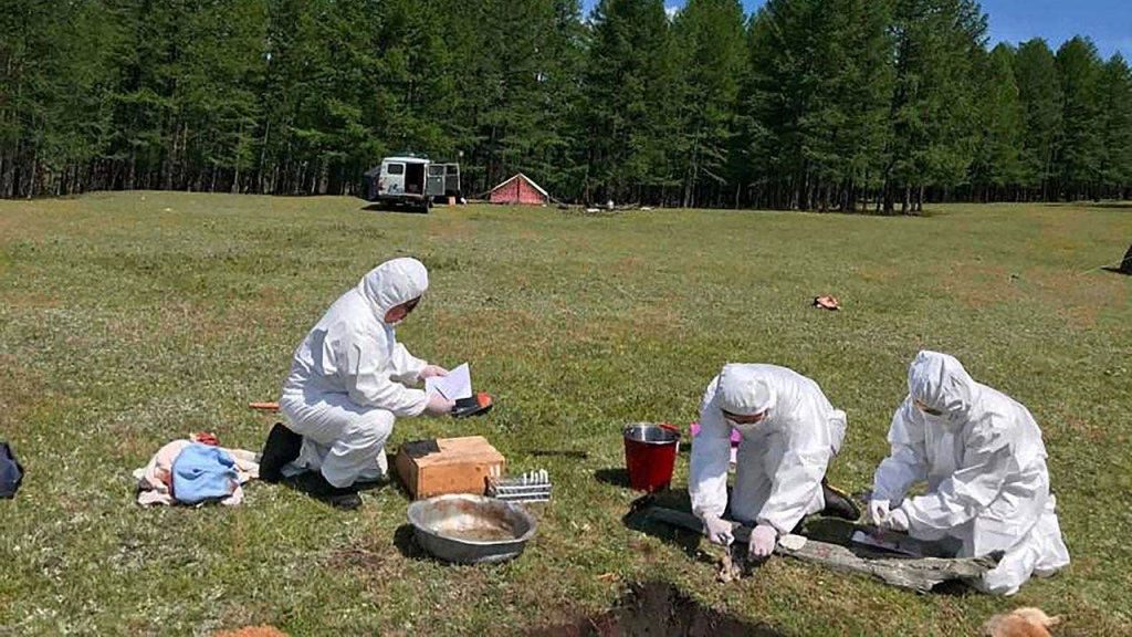 Pneumonic plague fears rise after Siberia lab worker’s mysterious death