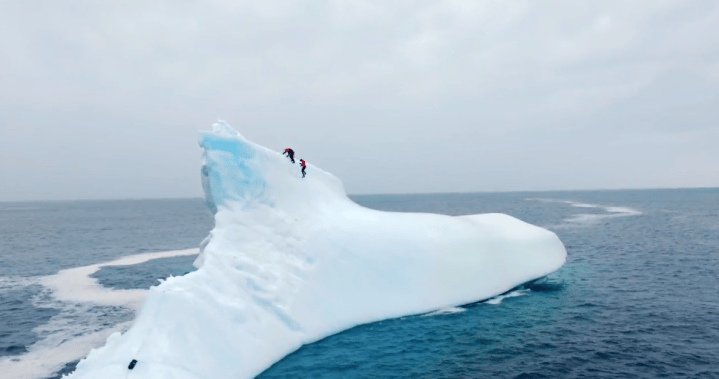 ‘Go out and do brave things’: Canadian diver becomes first woman to dive from an iceberg