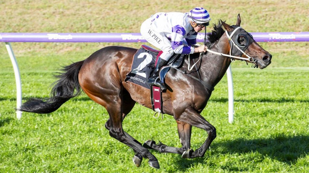 William Pike chasing Melbourne double act on Cup runner Zakouma