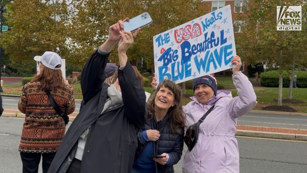 No Kings protesters openly call to vote blue despite nonpartisan rules