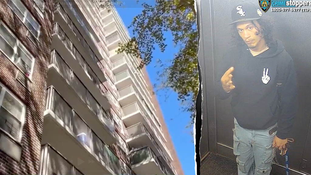 NYC mother killed in alleged balcony push, baby critical as NYPD seeks suspect