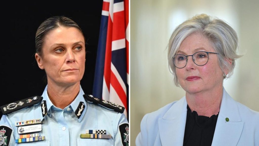 AFP Commissioner Krissy Barrett warns of growing abuse against politicians after Helen Haines’ alleged attack