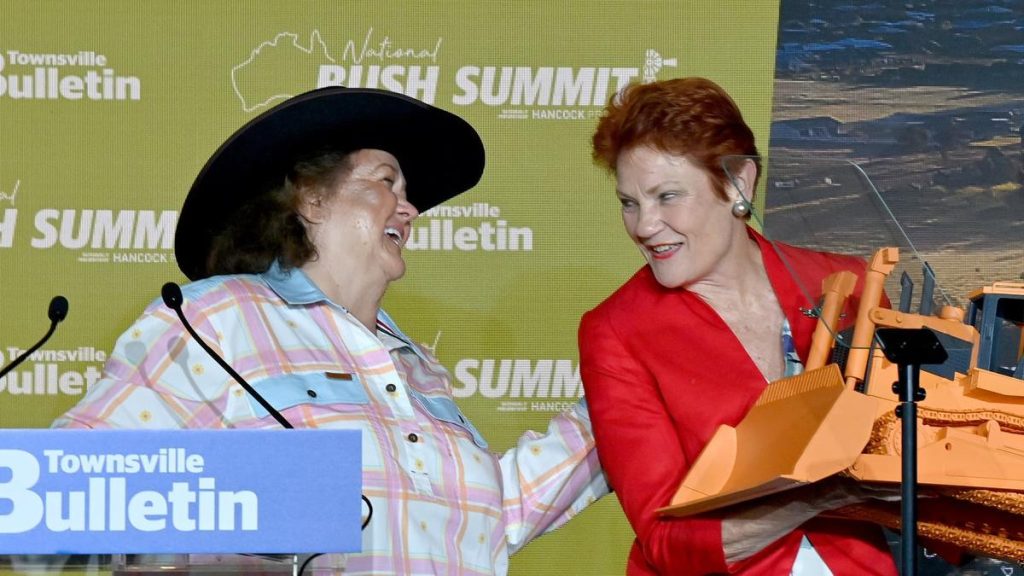 No ‘conflict of interest’ in Gina Rinehart backing One Nation: Barnaby Joyce