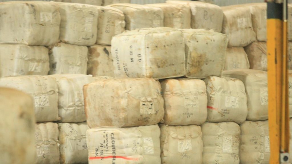 WA wool industry experts not concerned about 74-cent drop in Australian wool market in September