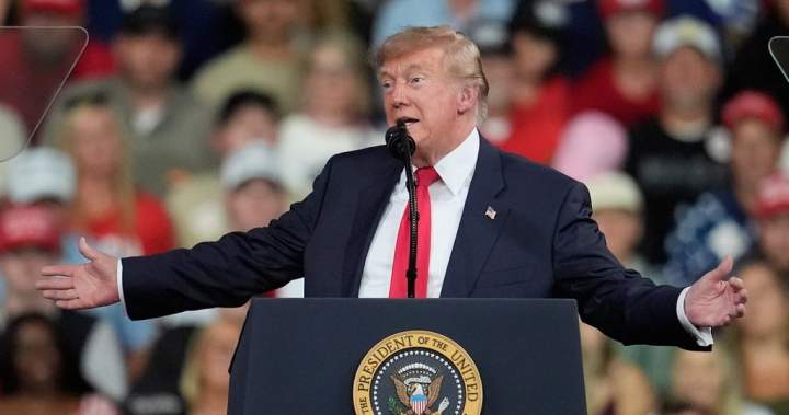 Canada-U.S. trade talks ‘moving quickly’ at political level ahead of midterms: sources – National