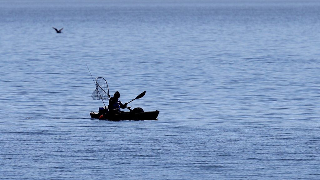 Malibu kayaker bitten twice by shark near Paradise Cove