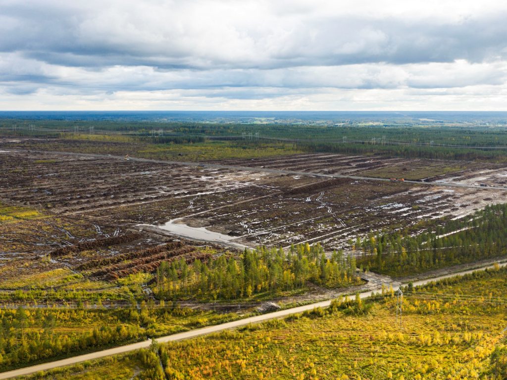 Finland launches criminal probe of suspected environmental damage by Google | Environment News